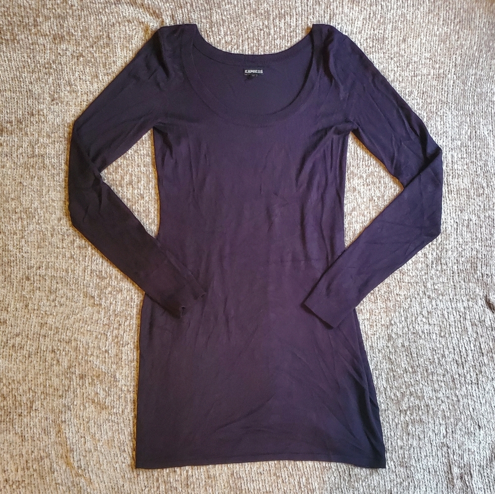 Express Dark Navy Sweater Dress